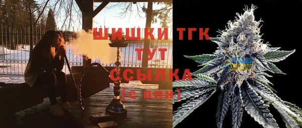 гидропоника Сатка