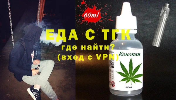 индика Вязьма
