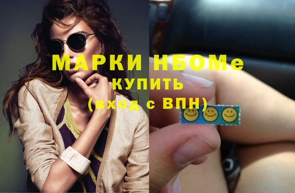 индика Вязьма