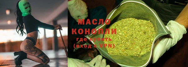 индика Вязьма
