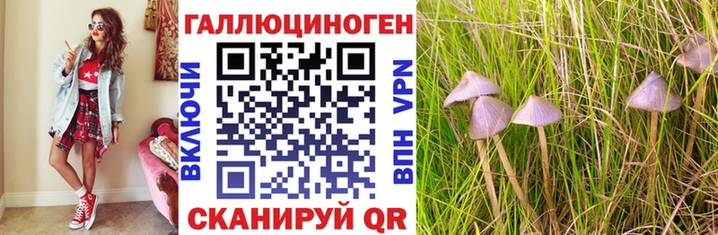 наркошоп Железногорск-Илимский Галлюциногенные грибы мицелий